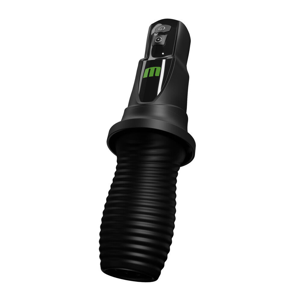 Black dog muzzle on a white background