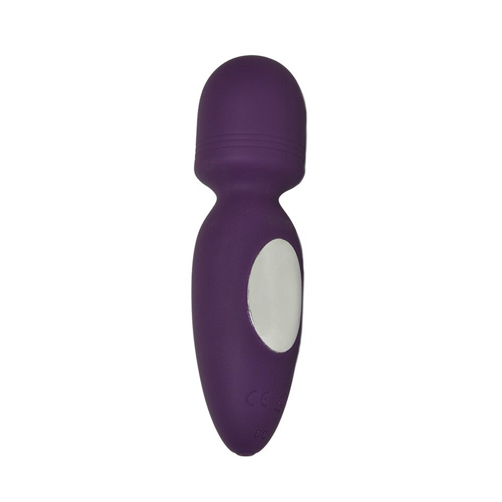 A purple mini wand vibrator with a smooth surface and a white accent on the handle.