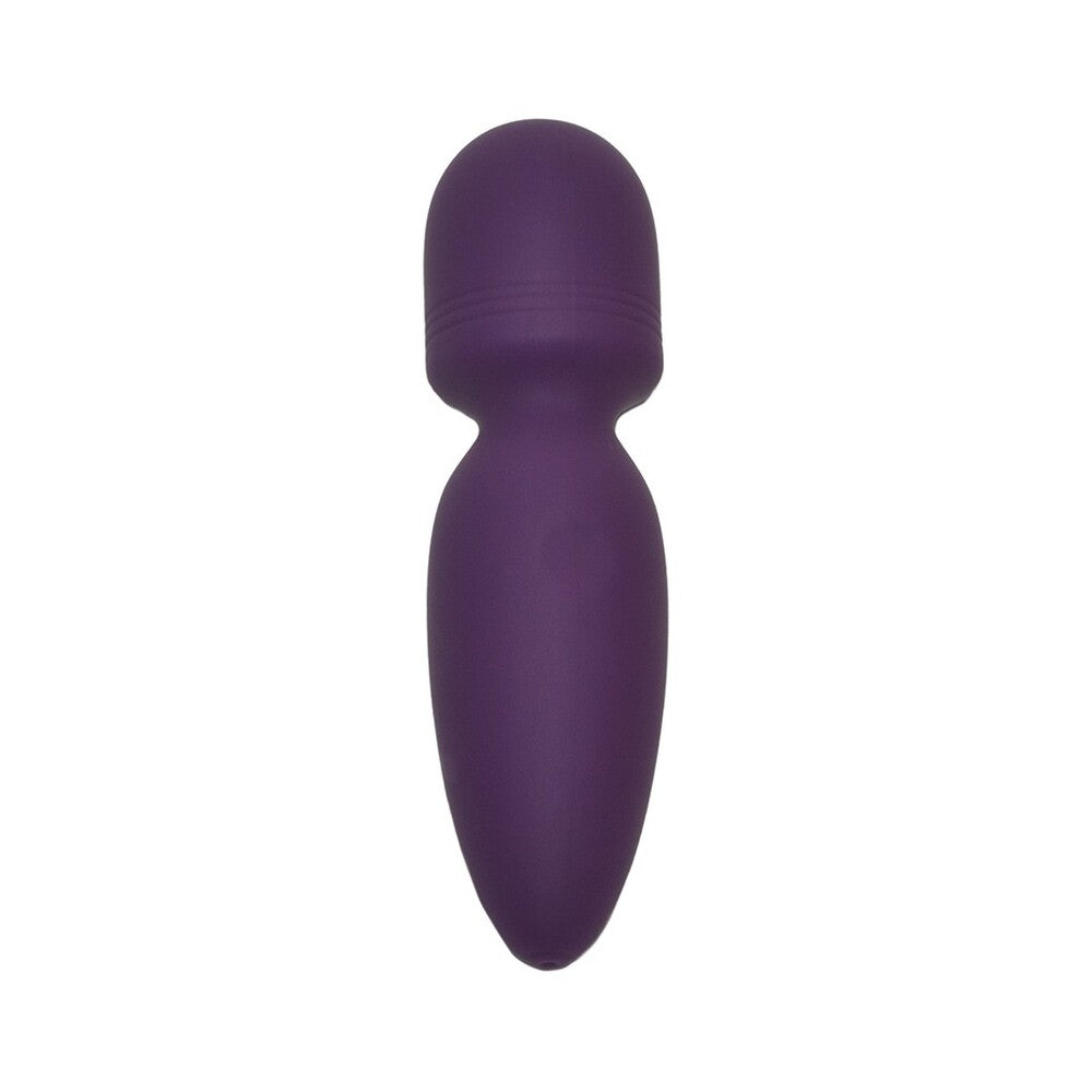 A purple mini wand vibrator with a smooth surface and a white accent on the handle.