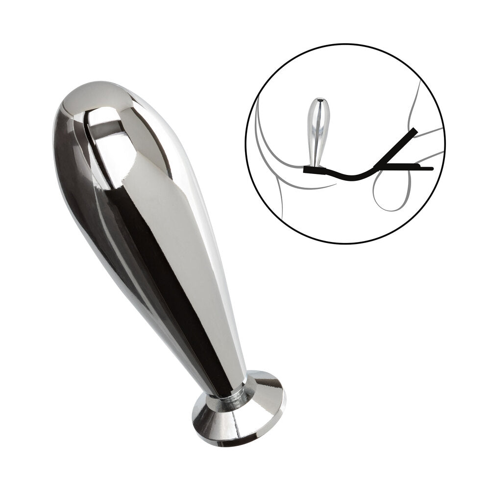 Chrome door handle with a close-up inset on a white background