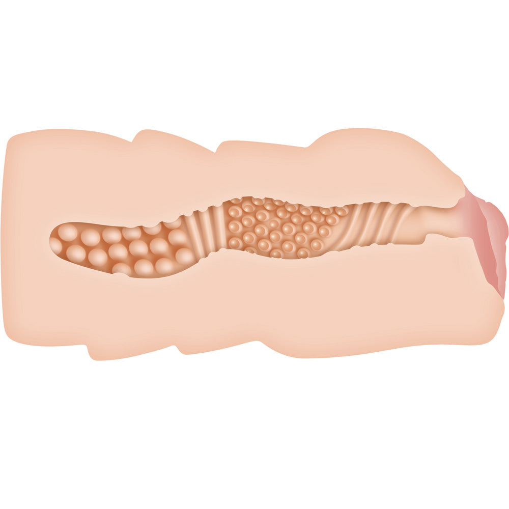 Illustration of a cross-section of skin with hair follicles on a white background