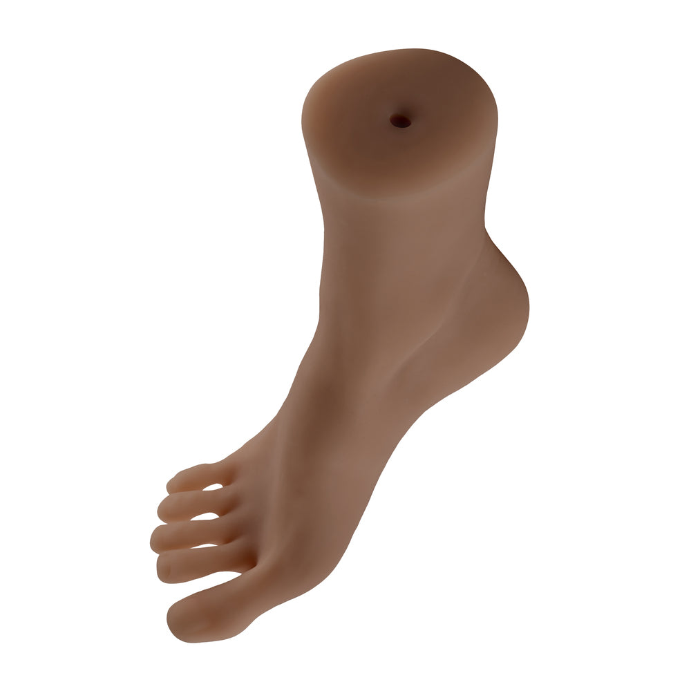 Brown foot model on a white background